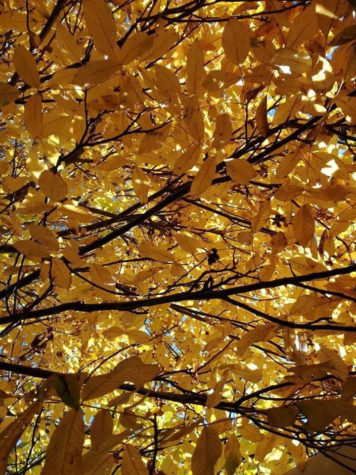 Tak pięknie wygląda jesień na waszych zdjęciach [GALERIA]