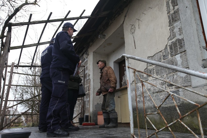 Głodne i brudne psy w starej szopie pod Krakowem