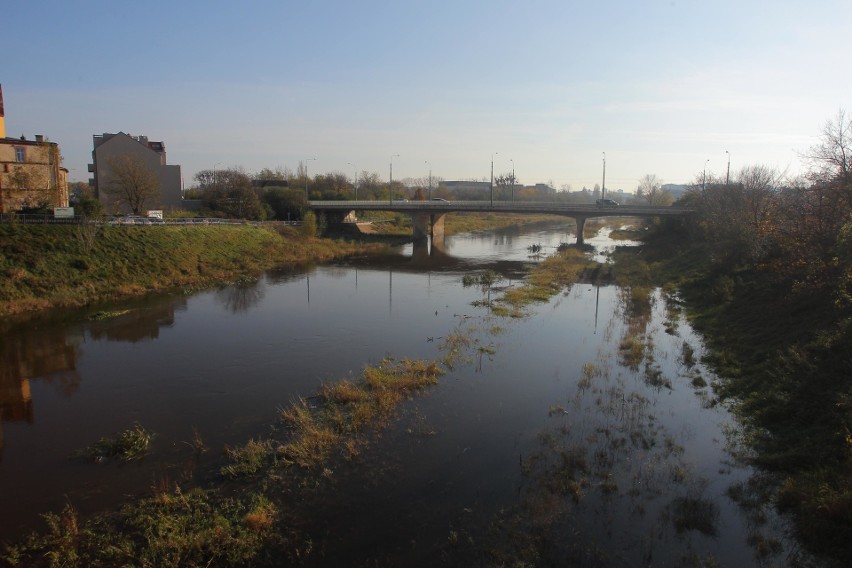 Wysoki stan wody w poznańskich rzekach