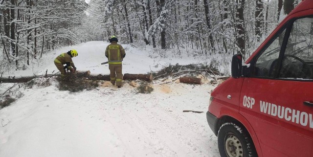 Piątek 16 grudnia. Strażacy z Ochotniczej Straży Pożarnej w Widuchowej usuwają powalone drzewo z drogi w miejscowości Kotki w gminie Busko-Zdrój.