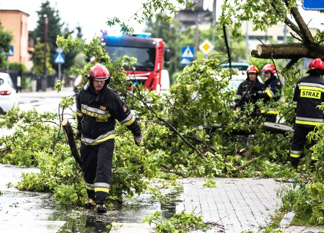 Ostrzeżenie przed silnym wiatrem w woj. kujawsko-pomorskim obowiązuje do godziny 18 w niedzielę, 29 października.