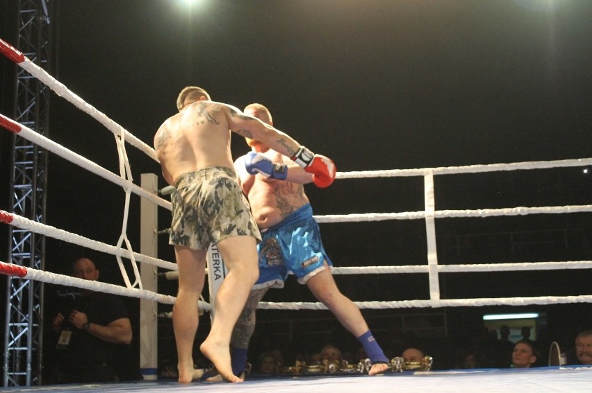 Głogowianie zdominowali Legion Fight Night [Zdjęcia Część 1]