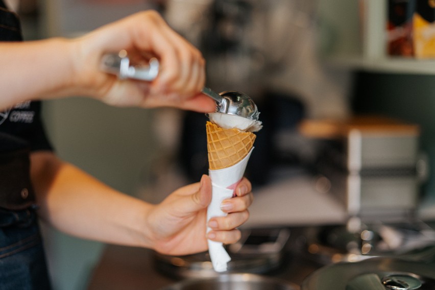  W Białymstoku rusza nowa sieć lodziarni - the White Bear Ice Cream. Nowy pomysł "polarnych miśków"  [zdjęcia]