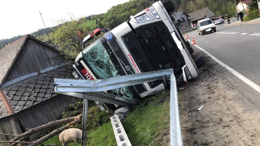Wypadek w Mszanie Dolnej. Przewróciła się ciężarówka przewożąca świnie. Zwierzęta uciekły [ZDJĘCIA]