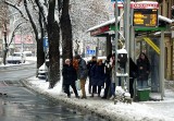 W Lublinie spadł pierwszy w tym sezonie śnieg. Zobacz zdjęcia