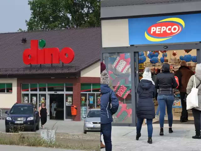 Seci Dino i być może Pepco wkrótce nają na stałe zagościć w Pińczowie.