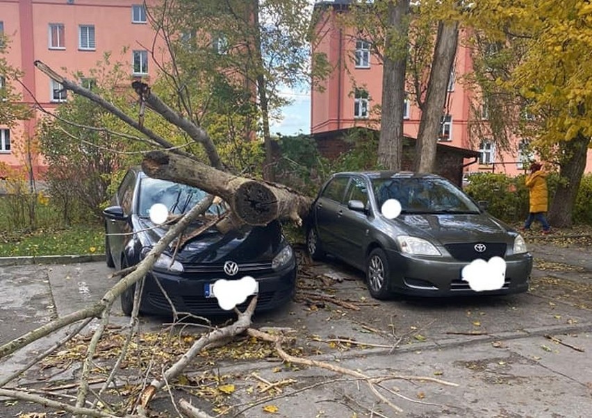 Oto skutki wichury w Kujawsko-Pomorskiem! Straż pożarna interweniowała ponad 1400 razy