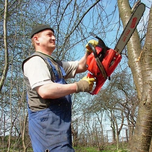 Wycinka drzew na działkach przy torach.