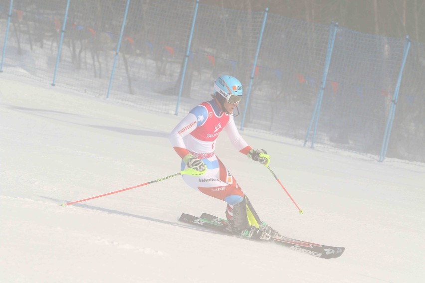 Zakopane. Na Harendzie rozegrano Puchar Europy w slalomie [ZDJĘCIA]