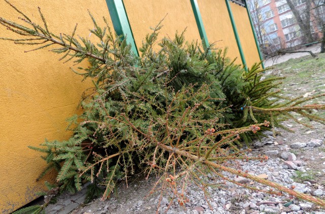 Choinkę należy postawić obok wiaty śmietnikowej