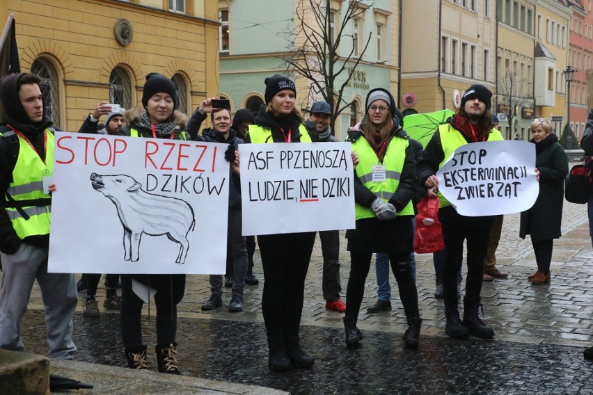 "Sto lat, niech ryją, ryją nam!" We Wrocławiu odbył się protest w obronie dzików (FILM, ZDJĘCIA)