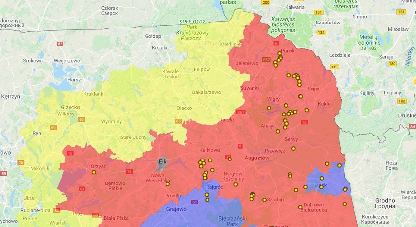 Wirus ASF w Polsce. Mapa wykrytych przypadków zachorowań na...