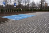 40 samochodów zaparkuje na ekologicznych parkingach w Jastrzębiu-Zdroju. Miasto stworzyło je z tzw. hydrofugi, która pozwoli wchłaniać wodę