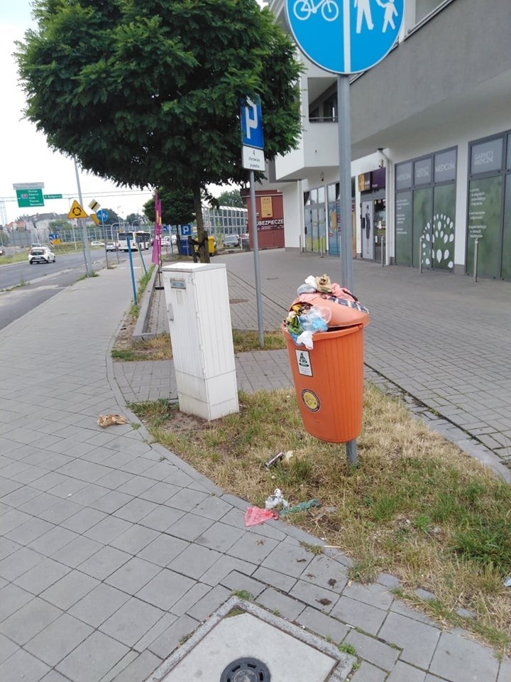 Toruń tonie w śmieciach! Oto zdjęcia mieszkańców. Radni apelują do prezydenta o reakcję