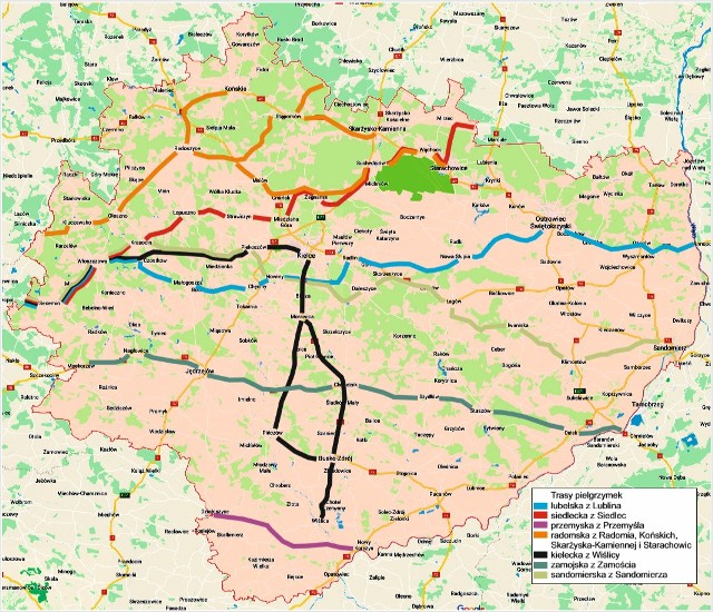 Mieszkańcy naszego regionu wyruszyli na Jasną Górę. Jednak przez Świętokrzyskie przechodzą lub niebawem przejdą też pątnicy z innych województw, bo tędy będą mieli najkrótszą trasę do Częstochowy. Naszymi drogami szlak do Miasta Świętej Wieży przemierzy około 15 tysięcy pielgrzymów.>>> ZOBACZ WIĘCEJ NA KOLEJNYCH ZDJĘCIACH 