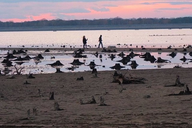 Tak dziś wygląda Jezioro Turawskie. - To jedna wielka plaża - mówi Waldemar Kampa, wójt Turawy. - Zarządca jeziora dba tylko o ptaki. Ryby, turyści i ludzie żyjący z nich, nikogo nie interesują.