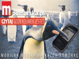 "Lekka" Pomorska.pl w telefonie? Pewnie, że tak! 