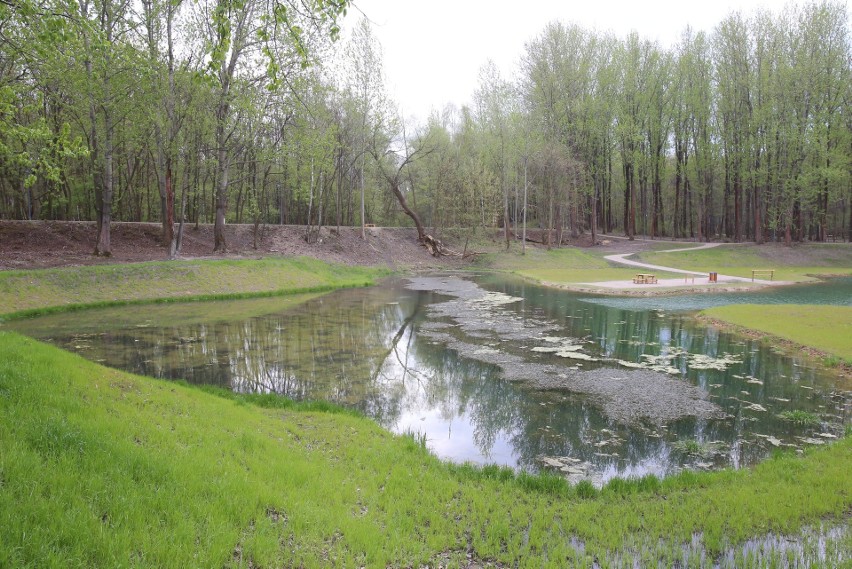 Tak wygląda rewitalizowany Park Tysiąclecia w Sosnowcu...