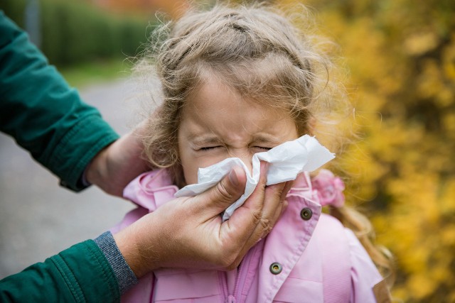 Pyłki atakują układ oddechowy alergików już w styczniu. Zobacz kalendarz pylenia 2023 i sprawdź, kiedy pylą najbardziej alergizujące rośliny!
