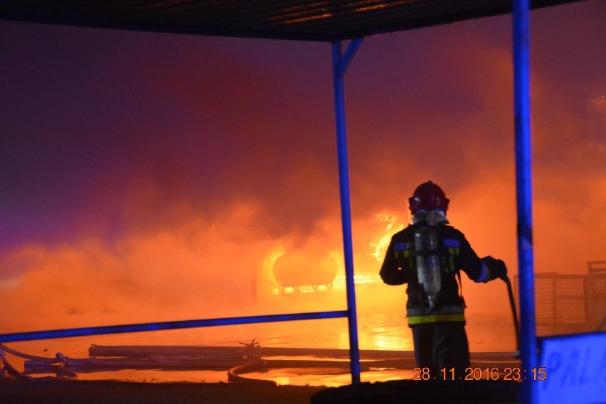 Pożar w fabryce okien pod Goleniowem [zdjęcia, wideo]