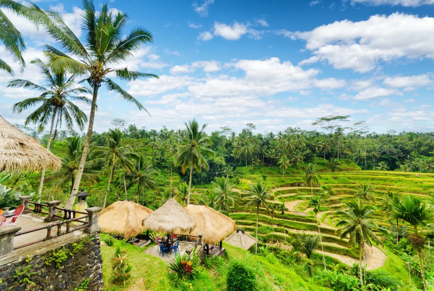 Wyspa Bali jest egzotyczna i niezwykła, ale też bezpieczna i...