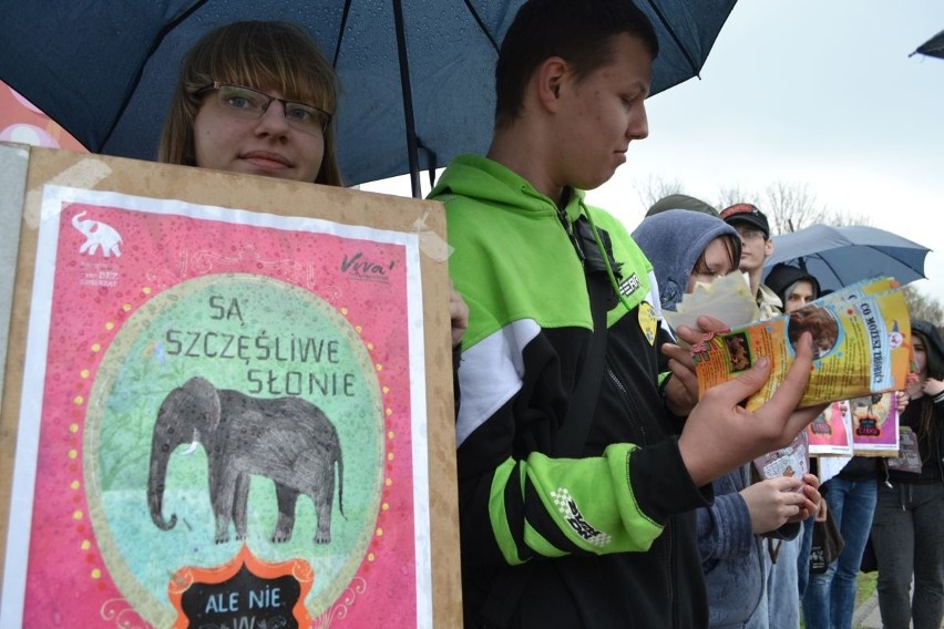 Protest przed cyrkiem w Wodzisławiu Śląskim