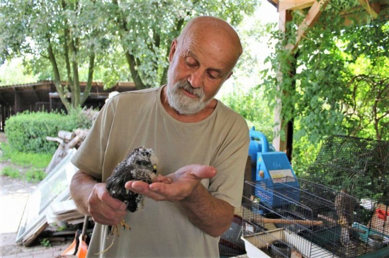 Tadeusz Ptak prowadzi Ptasi Azyl "Ptakolub".