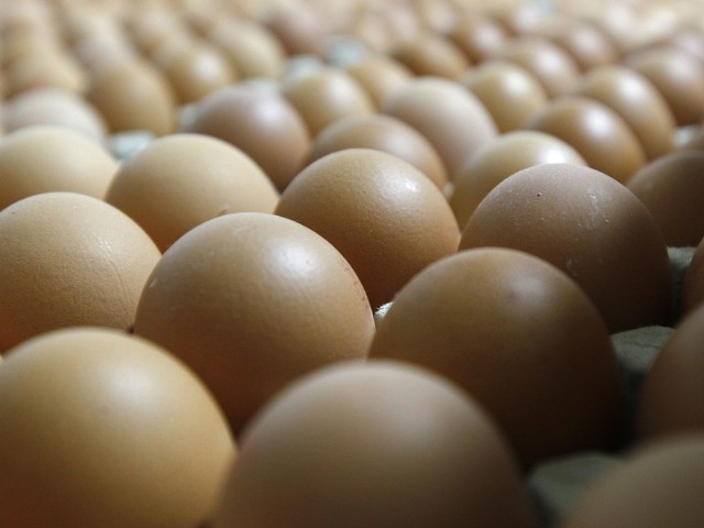 Sprzedawcy jaj już liczą zyski. Przy galopujących cenach produktów spożywczych, jest niemal pewne, że cena jaj też pójdzie w górę. 