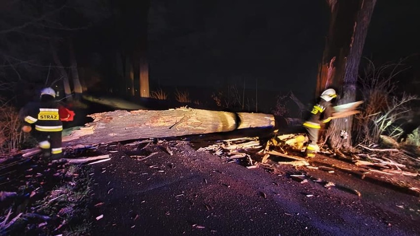 Wichura w Lubuskiem łamała drzewa gałęzie. Strażacy dostali...