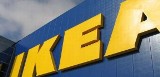 Ikea zbuduje u nas fabrykę? Zatrudniłaby 2 tys. osób