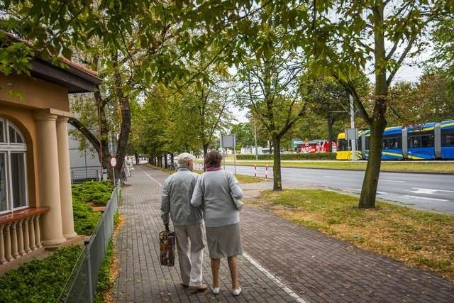 Nawet jeżeli znikną drzewa przy skrzyżowaniu Czerwonej Drogi i Szosy Chełmińskiej, trochę zieleni zostanie