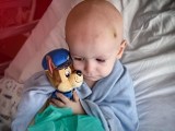 Dwuletni Mikołaj z Łąki w powiecie rzeszowskim walczy z nowotworem. Potrzebuje drogich szczepionek