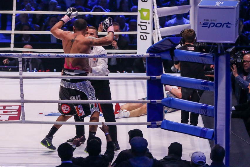 Tomasz Adamek vs. Joey Abell SKRÓT WALKI z Polsat Boxing...