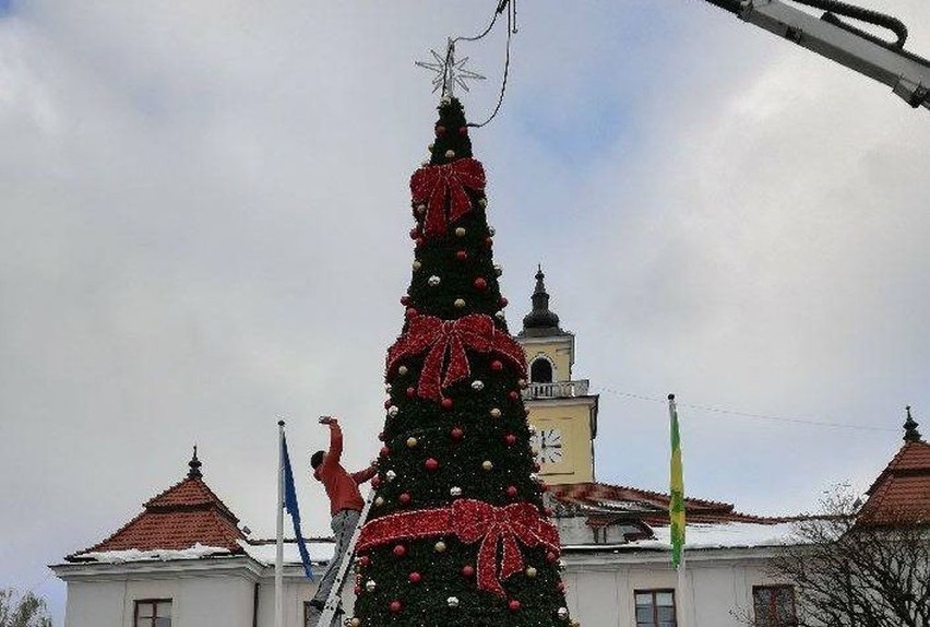 Choinka stanęła przy ostrowskim ratuszu  [ZDJĘCIA]