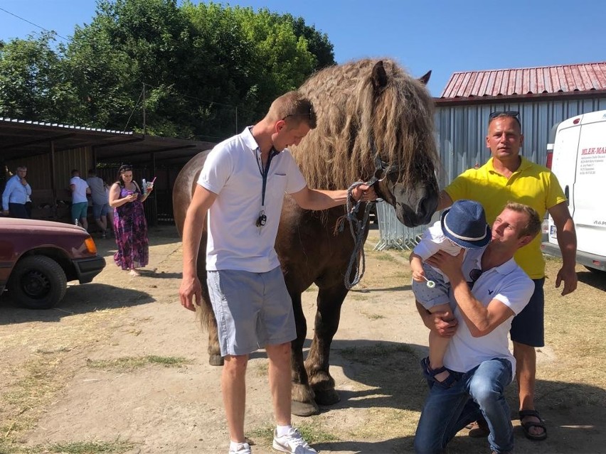 Szepietowo. XXVI Regionalna Wystawa Zwierząt Hodowlanych przyciągnęła tłumy [ZDJĘCIA]