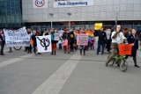 Śląska Manifa w Katowicach przeciw przemocy [ZOBACZ ZDJĘCIA + WIDEO]
