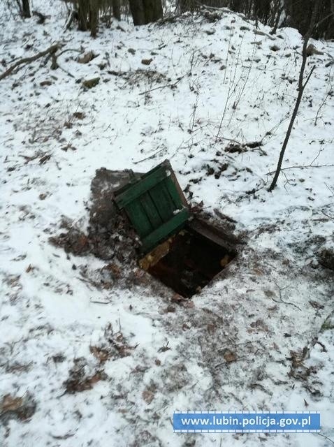 Hodowlę marihuany schował pod ziemią. Myślał, że przechytrzy policję