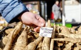 Ceny warzyw do góry. Za kilogram pietruszki trzeba dziś zapłacić od 12 do ponad 15 złotych, a może być drożej! 