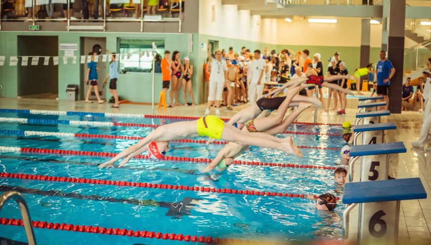 Pływackie zmagania w Powiatowym Centrum Sportowym w Staszowie. Rywalizowało prawie 300 uczestników
