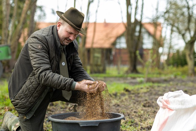 Leśnicy z Nadleśnictwa Lutówko podczas prac nad łąką kwietną