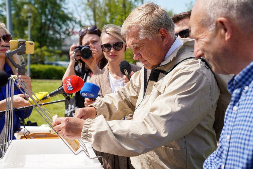 Tegoroczny miód wytworzony jest z mieszanki nektaru wierzb,...