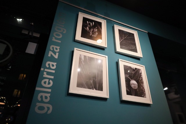 Finisaż wystawy fotografii "De Plantis" autorstwa Soni "Kokoshki" Gorczak miał miejsce 1 grudnia w Kino za Rogiem Cafe w Rzeszowie