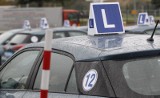Pijany chciał zdawać egzamin na prawo jazdy w Kielcach