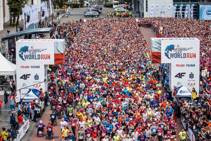 Uczestnicy Wings for Life World Run na linii startu w...