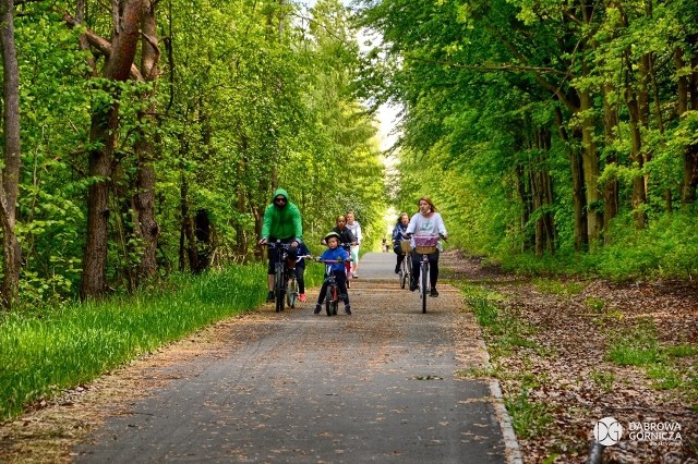 W Dąbrowie Górniczej jest dziś 76 km ścieżek rowerowych a będzie ich coraz więcej, bo powstają wraz z nowymi inwestycjami drogowymi Zobacz kolejne zdjęcia/plansze. Przesuwaj zdjęcia w prawo - naciśnij strzałkę lub przycisk NASTĘPNE