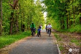 Dąbrowa Górnicza ma najwięcej ścieżek rowerowych w Polsce w przeliczeniu na mieszkańca. Które jeszcze miasta są na czele rankingu?
