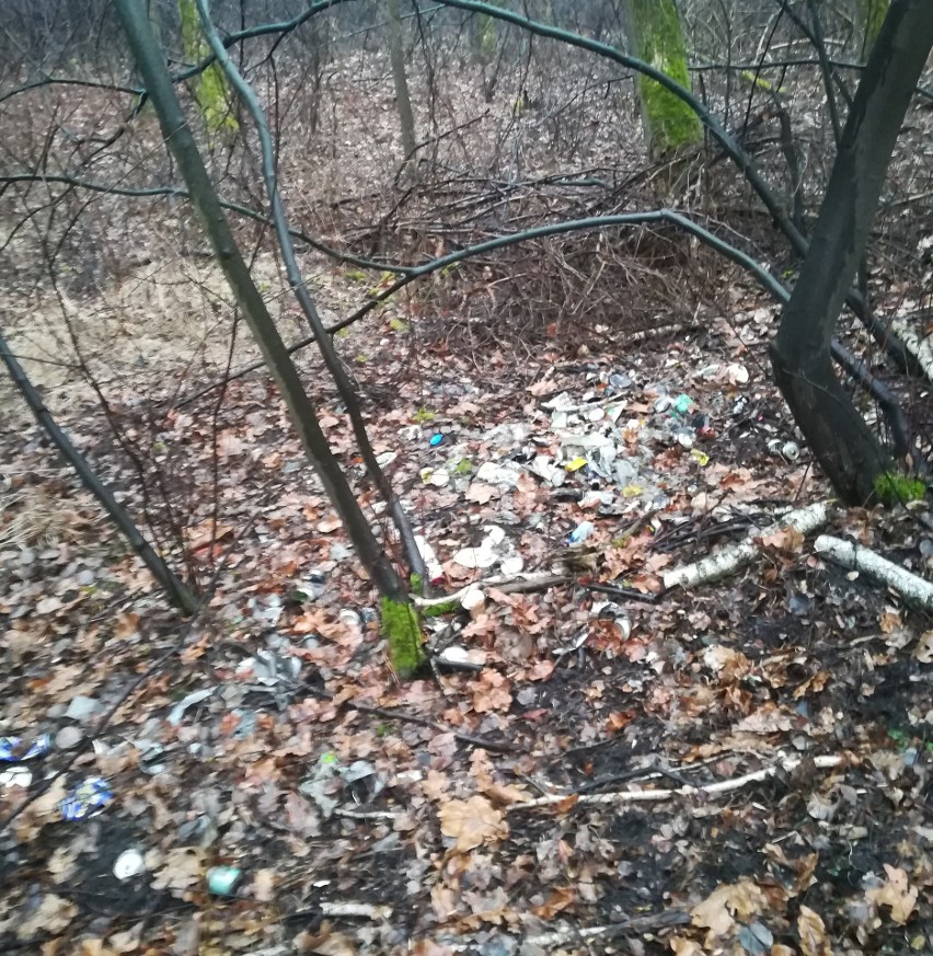 Dzikie wysypisko odpadów w pobliżu Parku Zielona w Dąbrowie...