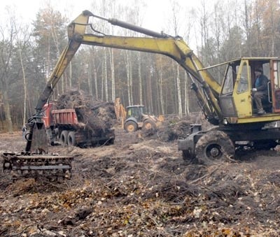 Na miejscu dobrze widać, co jest wycinane - głównie krzewy i mało cenne drzewa