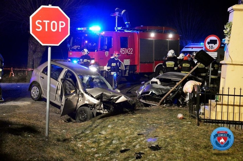 Tragiczny wypadek koło Łowicza. Nie żyje 21-latek. Pięć osób w szpitalu [ZDJĘCIA]