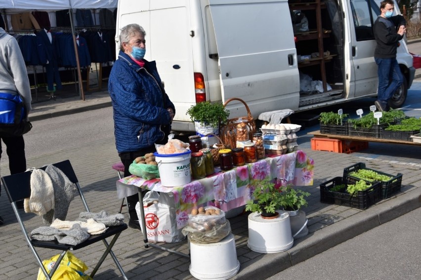 Handel na targowisku w Kościerzynie kwitnie. Cenny sadzonek, kwiatów, owoców i warzyw [ZDJĘCIA]